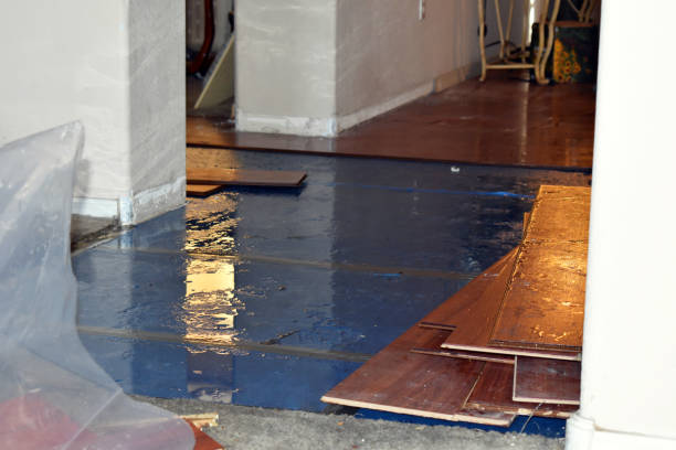 Professional Basement Water Removal technician working in North Washington, PA